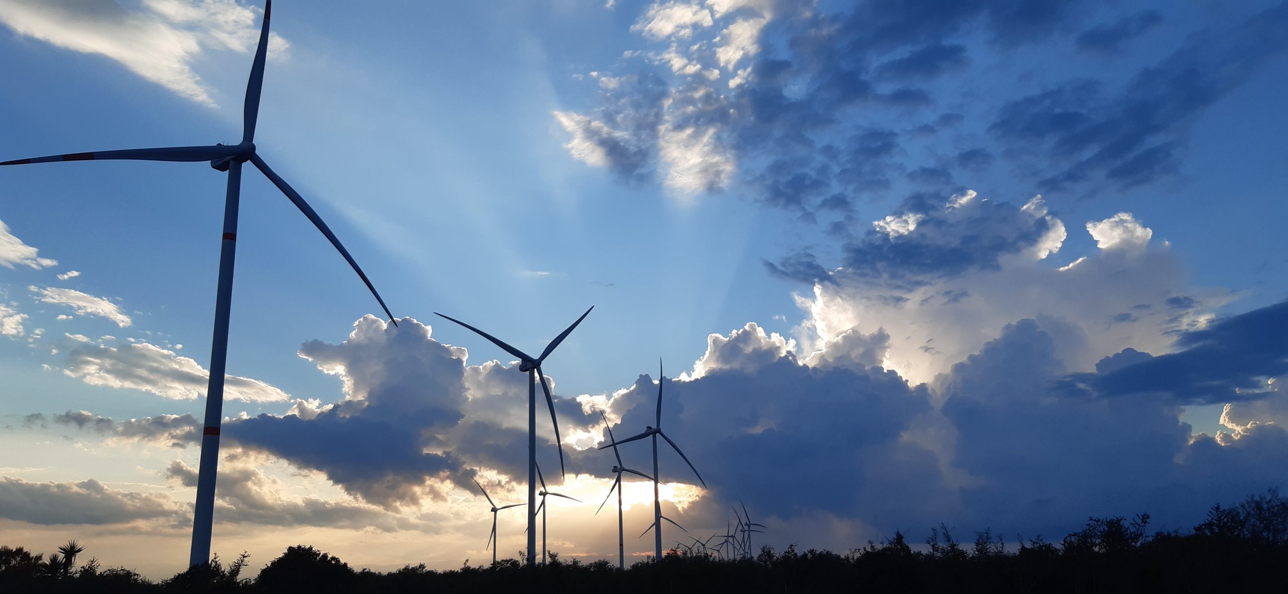 Reconoce Vestas potencial de la energía eólica en Latinoamérica con nueva  estructura de negocios en la región - Global Energy