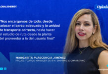 La logística como último eslabón estratégico en megaproyectos de energía e infraestructura