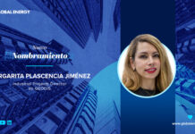 Geodis nombra a Reyna Plascencia como directora de logística de proyectos en México