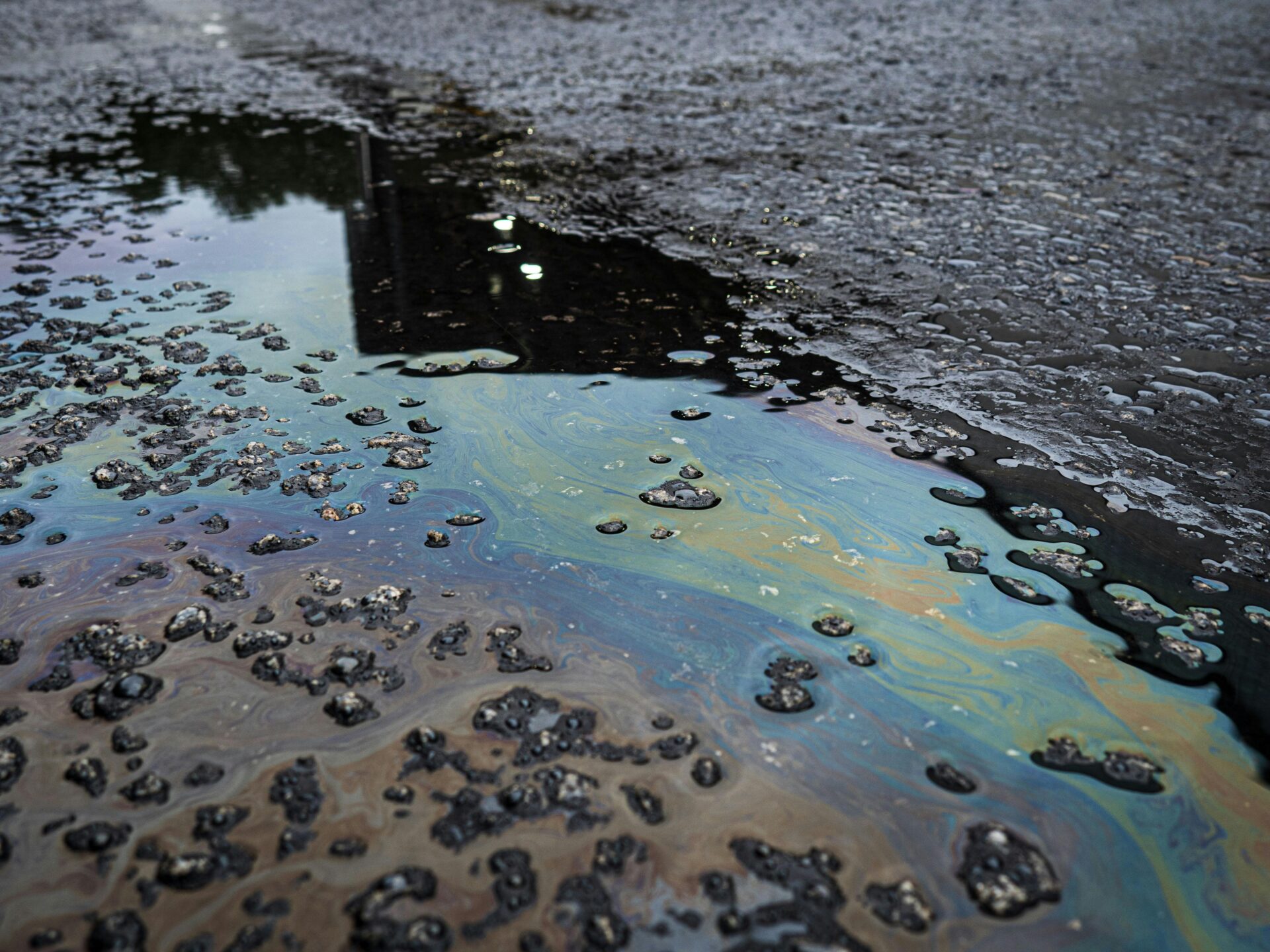 Pemex reconoce fallas internas tras derrame en el Golfo de México y ...